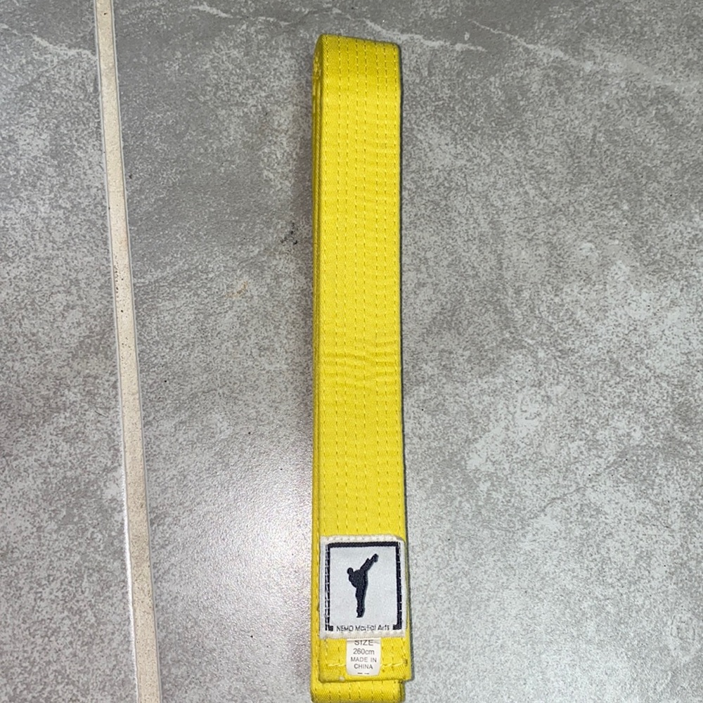 Martial arts belt
